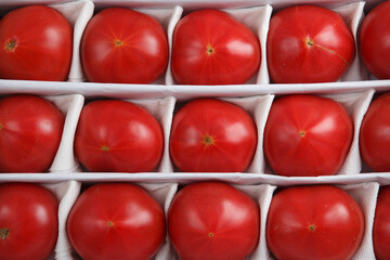 close up detailed top view background wallpaper shot of rows and lines of large tasty red ripe tomatoes in a white crate box