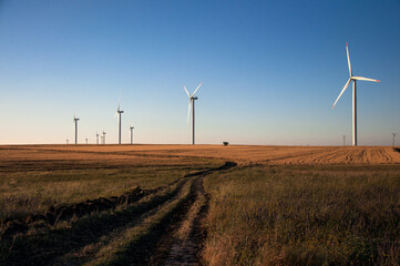 Wind turbines on wheat planting area