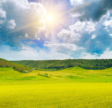 Green field and sun on blue sky.