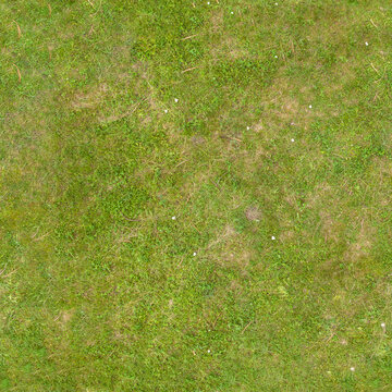 texture of green grass on the lawn, seamless