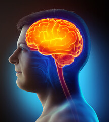 Fototapeta premium 3d rendered, medically accurate illustration of a male highlighted brain /headache