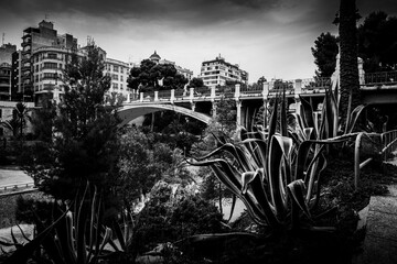 Elche city, Alicante, Valencia, Spain. Canalejas bridge spans the flood control channel of the Vinalopo riverbed which has been converted into a gigantic mural urban art