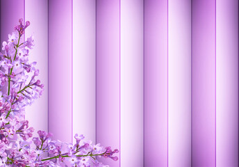 Purple floral background of blooming lilac and blank space