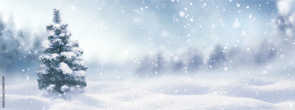 Poster beautiful winter snowy background. snow-covered fir tree in forest in snowdrifts in snowfall against