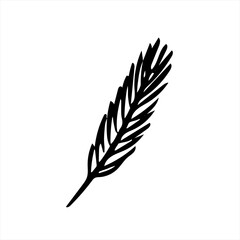 Pine branch in black and white, isolated simple hand drawn vector illustration in doodle style