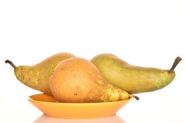 Ripe organic pears, close-up, on a white wooden table.