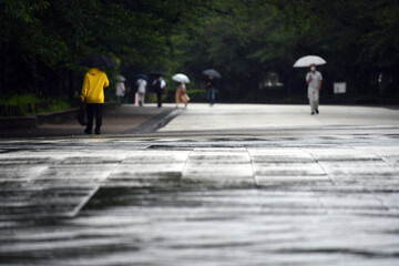 雨の公園