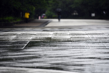 雨の公園