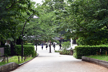 雨の公園