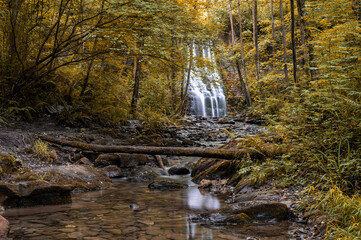 Beautiful cascade in the forest