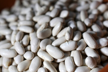 Poroto Blanco