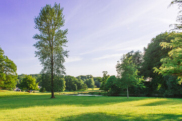 Fototapeta premium The open parkland of Dallam Park on a sunny evening Milnthorpe, Cumbria, England