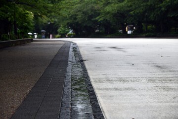 雨の石畳