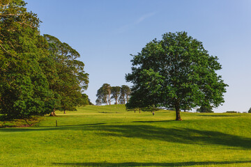 The open parkland of Dallam Park on a sunny evening Milnthorpe, Cumbria, England