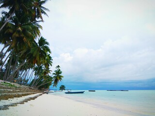 tropical beach with palm trees