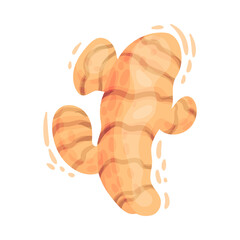 Turmeric Rhizome or Root Isolated on White Background Vector Illustration