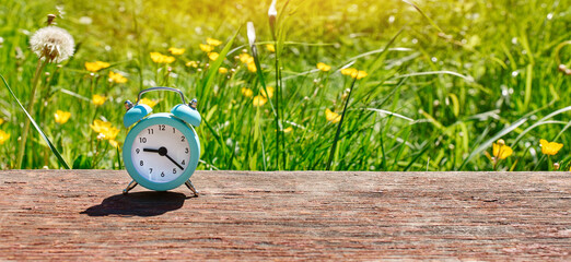 Concept of summer time. Web banner of an alarm clock on a background of dandelion flowers in a Sunny lawn