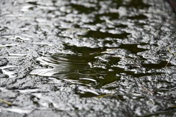 石の水たまり