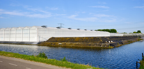 The exterior whitewashed greenhouse glass facade of commercial greenhouse with closed water basin...