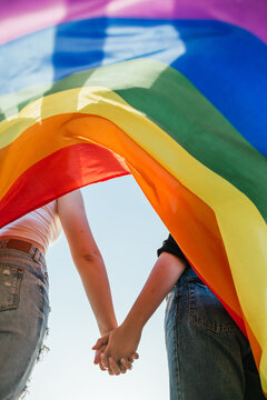 two girls hold hands at sunset with a rainbow flag of LGBT pride.Vertical photography