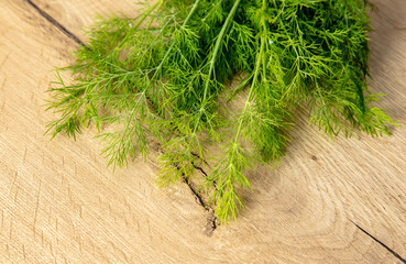 Green dill on a wooden table.