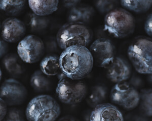 A macro closeup shot of blueberries
