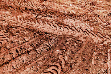 Traces of a truck on red soil.