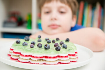 Jelly cake with blueberries. Striped and sweet dessert.