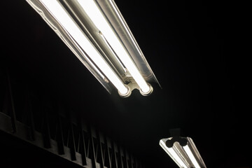 Fluorescent lamps lighted fixed to ceiling