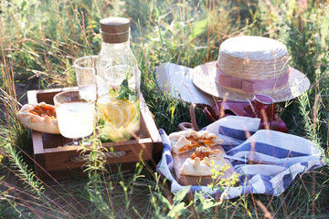  picnic in a meadow
