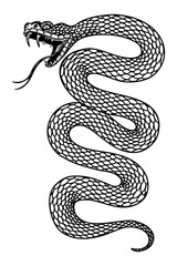 Illustration of poisonous snake  in engraving style. Design element for logo, label, emblem, sign, badge.