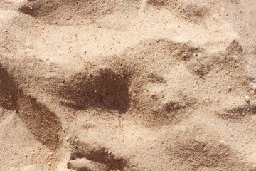 empty beach sand surface texture for background