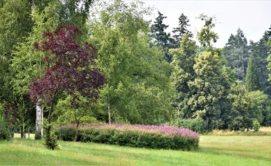 Park Gołuchów