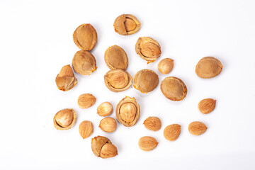 apricot kernel isolated on white background