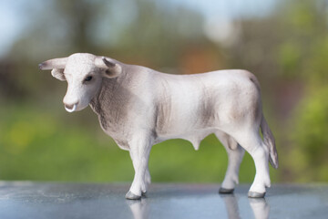 white bull. year of the bull new year 2021