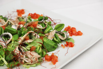 Anchovy dish with tomato and rocket salad on white tablecloth