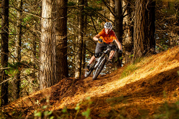 Fototapeta na wymiar Mountain Biking in Pine Forest