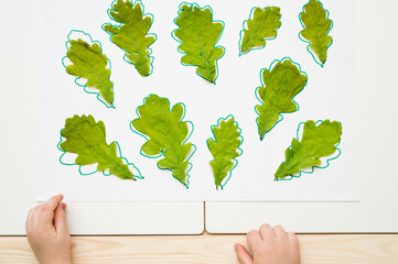 Find the right size Oak leaves. Montessori methodology tool for concentration and fine motor. Sorter toy, linear icon. Thin line illustration. Contour symbol.