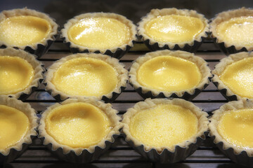 Freshly baked egg tarts