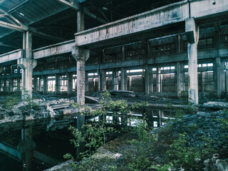 Soviet ruins of the plant. The abandoned building was overgrown with greenery and collapsed.