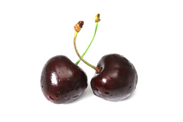 deux cerises en gros plan sur un fond blanc