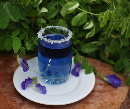 fresh Bluepeaflower drink