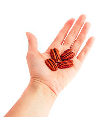 Three raw pecan nuts, hold in a female hand, isolated on white background.