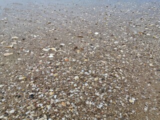 Small rocks on the coast of the sea