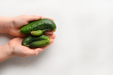 Ugly homegrown abnormal cucumbers in hands. Concept organic vegetables. View from above. Space for text.