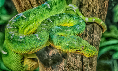 Digital painting,emerald tree boa