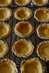 Freshly baked egg tarts