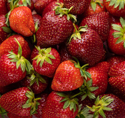 A full-framed background filled with fresh, ripe strawberries. The strawberries are a bright red color with green stems and leaves.