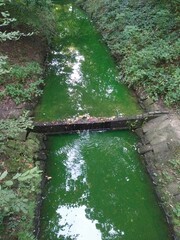 Gr&uuml;ner Fluss