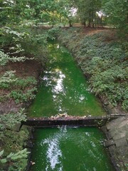 Gr&uuml;ner Fluss